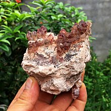 光工阿賽斯特萊能量水晶 馬達加斯加骸骨幹水晶原石雙生紫晶超級96mm梅爾卡巴靈性揚升松果體第三眼 歷史價格詳細信息