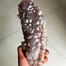 3件本命年紅色內褲男生冰絲三角褲舒適透氣性感個性短褲衩超薄U凸 歷史價格詳細信息