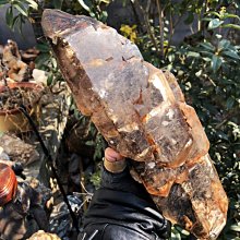 光工阿賽斯特萊能量水晶 馬達加斯加骸骨幹水晶原石雙生紫晶超級96mm梅爾卡巴靈性揚升松果體第三眼 歷史價格詳細信息