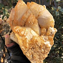 松林揚鞭國畫古畫唐伯虎卷軸畫絲綢畫禮品畫山水畫客廳裝飾風水畫 歷史價格詳細信息