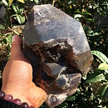 松林揚鞭國畫古畫唐伯虎卷軸畫絲綢畫禮品畫山水畫客廳裝飾風水畫 歷史價格詳細信息