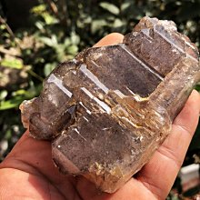 松林揚鞭國畫古畫唐伯虎卷軸畫絲綢畫禮品畫山水畫客廳裝飾風水畫 歷史價格詳細信息