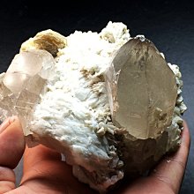 靈性本源神諭卡｜Native Spirit Oracle Cards解開的宇宙帶來的獨特、神秘訊息【左西購物網】 歷史價格詳細信息
