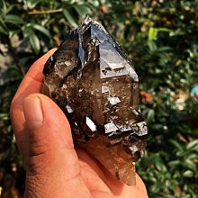 松林揚鞭國畫古畫唐伯虎卷軸畫絲綢畫禮品畫山水畫客廳裝飾風水畫 歷史價格詳細信息