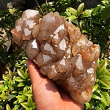 天然黑水晶原石骨干(淨化，正能量之石）隨機一個 歷史價格詳細信息