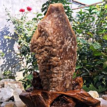 生物光波礦物能量貼布(遠紅外線、無藥性、美容舒壓、肌肉緊繃、疲勞) 歷史價格詳細信息