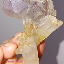 ***原礦屋*** 完整化石！A級中國廣西柳州泥盆紀闊石燕化石76.1g！(寶石、礦石、標本、冥想、靈修) 歷史價格詳細信息