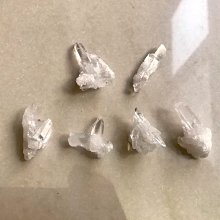 小骨幹 七面通訊 板機水晶 橋樑水晶 大師水晶 晶中晶 內在小孩 編號T1321 歷史價格詳細信息