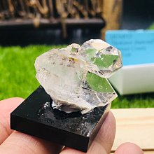 紐蒙特男士高檔五合一禮盒套裝便攜電動剃鬚刀潔面修鬢角鼻毛修剪 歷史價格詳細信息