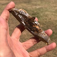 老雷達錶 歷史價格詳細信息