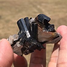 本標編號old.X3號老虎奇楠香游水海豚正宗越南芽莊上等熟沉 歷史價格詳細信息