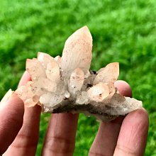 本標編號old.X3號老虎奇楠香游水海豚正宗越南芽莊上等熟沉 歷史價格詳細信息