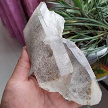 【魚魚】天然草莓晶粉晶麥樂迪手鍊女桃花閨蜜女友ins小眾設計禮物 歷史價格詳細信息