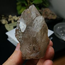 島產業SHIMA SANGYO 廚餘除臭乾燥機 廚餘機PPC-12TW-WH(白色) 歷史價格詳細信息