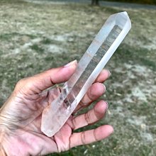 師大許記生煎包6盒(12顆/380g±5g盒) 歷史價格詳細信息