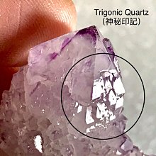 超閃 淺紫薰衣草巫婆手指 城側芽水晶 紫水晶骨幹 豐盛水晶 南非仙人掌紫水晶 看影片 精靈水晶編 神秘印記 H336-2 價格比較,價格查詢,歷史價格詳細信息