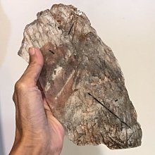 很特殊少見的好像是陶瓷製作的小瓶子 上面刻有春宮圖 便宜賣只有一個 399超商免運費 歷史價格詳細信息