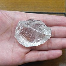 非洲 突尼西亞 1983年 植物 變化的栓皮櫟 5米利姆 錢幣 鋁硬幣-保真、品相如圖 (5) 歷史價格詳細信息