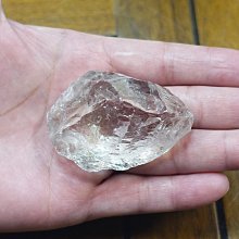 非洲 突尼西亞 1983年 植物 變化的栓皮櫟 5米利姆 錢幣 鋁硬幣-保真、品相如圖 (5) 歷史價格詳細信息