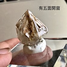 骸骨水晶球 41mm 歷史價格詳細信息