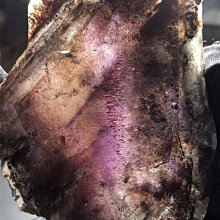 天然黑紅超七紫髮晶如意吊墜 雕工細膩！顏色漂亮！油潤水亮！規格：35*17mm 此物屬高檔商品 售出不退換 歷史價格詳細信息