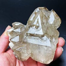 巴西-原皮 茶色瑪瑙小晶洞+訂做木座 歷史價格詳細信息