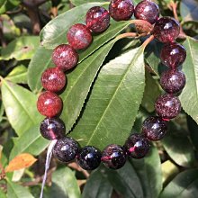 超七手鍊整體偏向黑超七，清幽清透發絲款夏天必備串串，尺寸8+至9+mm，23.2g。賣出非 歷史價格詳細信息