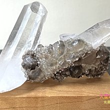 骨力自癒逆轉密碼：鬆開筋膜‧遠離疼痛‧強健骨骼‧提升肌力‧改善免疫 歷史價格詳細信息