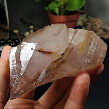 島產業SHIMA SANGYO 廚餘除臭乾燥機 廚餘機PPC-12TW-WH(白色) 歷史價格詳細信息