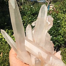 阿根廷球王馬拉多納水洗做舊短袖男裝純棉T恤重磅衣寬松大碼男士n#男裝 歷史價格詳細信息