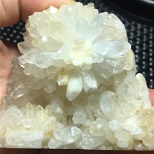 阿賽斯特萊 天然鱷魚皮城堡骸骨骨幹能量紅幽靈水晶簇791G 資料庫記憶體電路板綠粉紅藍紫黑白銀鈦晶髮晶柱球手排珠原礦風水 歷史價格詳細信息