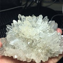 阿賽斯特萊 天然鱷魚皮城堡骸骨骨幹能量紅幽靈水晶簇791G 資料庫記憶體電路板綠粉紅藍紫黑白銀鈦晶髮晶柱球手排珠原礦風水 歷史價格詳細信息
