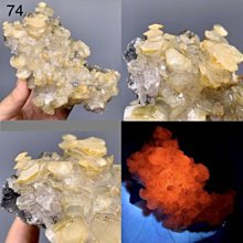 黃金芒果條100g 歷史價格詳細信息