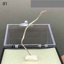 超稀少銀鈦晶水雕 搬家清空間 面交 可送到府上鑑賞 歷史價格詳細信息