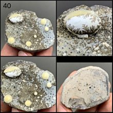 小骨幹 七面通訊 板機水晶 橋樑水晶 大師水晶 晶中晶 內在小孩 編號T1321 歷史價格詳細信息