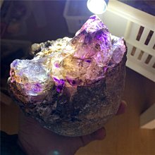 聚丙烯資料夾(線圈式)/A4.2孔【MUJI 無印良品】 歷史價格詳細信息