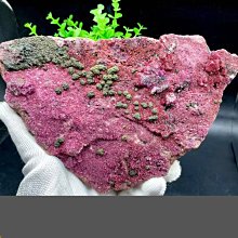 [球球館] 七巧板繪本館(盒裝成套)  (兒童繪本/七巧板/益智玩具/親子互動/動手DIY/母嬰用品/) 歷史價格詳細信息