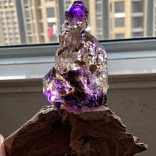 大草原典藏，頂級老和田珠，慶祝十週年，特價一天 歷史價格詳細信息