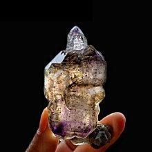 小骨幹 七面通訊 板機水晶 橋樑水晶 大師水晶 晶中晶 內在小孩 編號T1321 歷史價格詳細信息