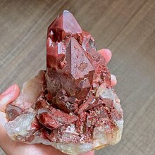 山銀礦用u36型卡纜 礦用u36型卡纜支護用u型卡纜 歷史價格詳細信息