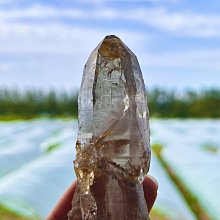 亮皮鱷魚紋手提包 凱莉斜背包 小方包 時尚女包 包包女 肩背包 復古多色通勤斜背包 側背包斜跨女生包包 防潑水-包沒煩惱 歷史價格詳細信息
