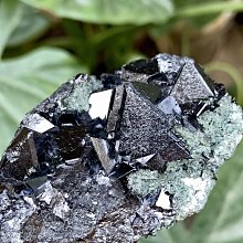 【立方館謀殺始末】6人劇本殺盒裝實體本日式推理本聚會桌遊自玩 歷史價格詳細信息