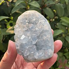 天青瓷全件鐵線冰裂墨池/筆洗 歷史價格詳細信息