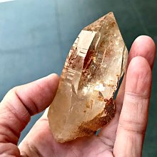 金黃色撲克牌 歷史價格詳細信息