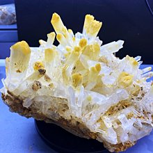 博物館級除濕➤收藏家 ADL-55N 暢銷經典防潮箱(60公升) 相機 手錶 3C電子 金屬塑膠 控濕 鋼製 防潮櫃 歷史價格詳細信息