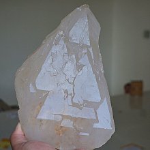 阿賽斯特萊 大型天然鱷魚皮城堡三輪骨幹紫水晶擺件12KG 資料庫記憶體電路板紅黃藍紫黑白銀鈦晶球手排珠綠幽靈聚寶盆原礦石 歷史價格詳細信息