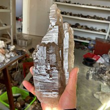 阿賽斯特萊 天然鱷魚皮城堡壘生骸骨超七骨幹黑髮茶晶茶水晶原礦694G 資料庫記憶體電路板綠紫黑白銀鈦晶髮晶幽靈柱球手排珠 歷史價格詳細信息