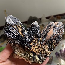 稀少城堡鑰匙大型克朗幣E-1819，直徑38.46mm，重量5279 歷史價格詳細信息