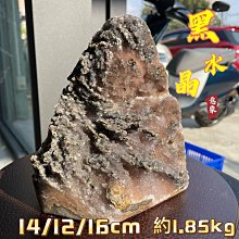 【黑晶晶小舖】DREAM TREND 凱夢 LYKY 尋星恆香 香水護髮油 50ml 免沖洗 歷史價格詳細信息