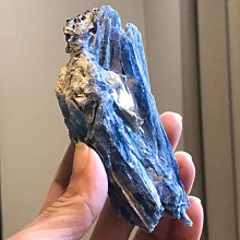 業力大腦 歷史價格詳細信息